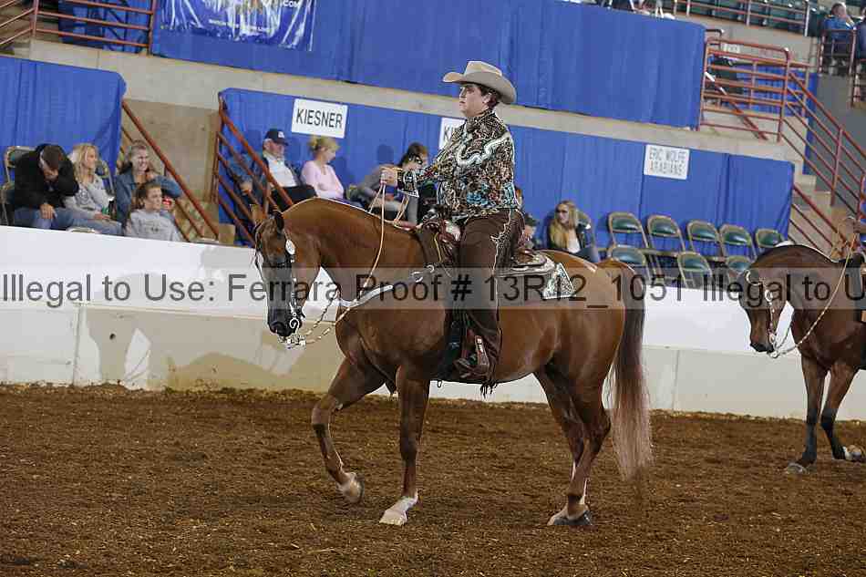 Proof Number 13r12_1051