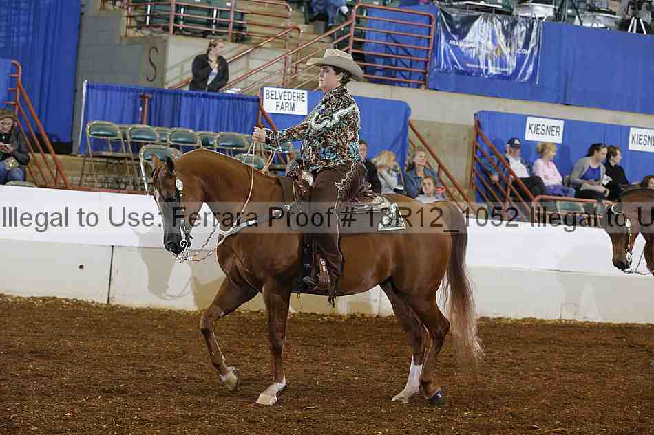 Proof Number 13r12_1052