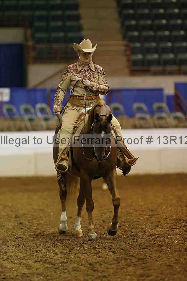 Proof Number 13r12_1054