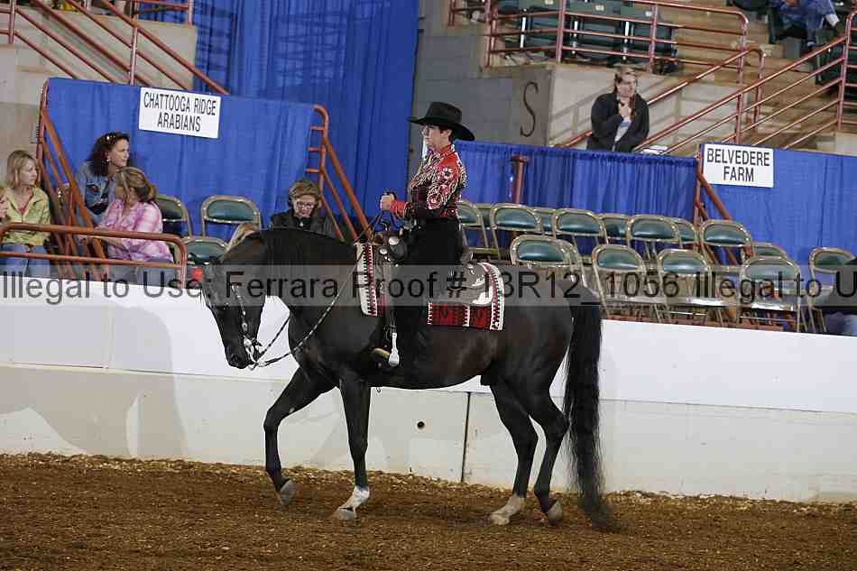 Proof Number 13r12_1056