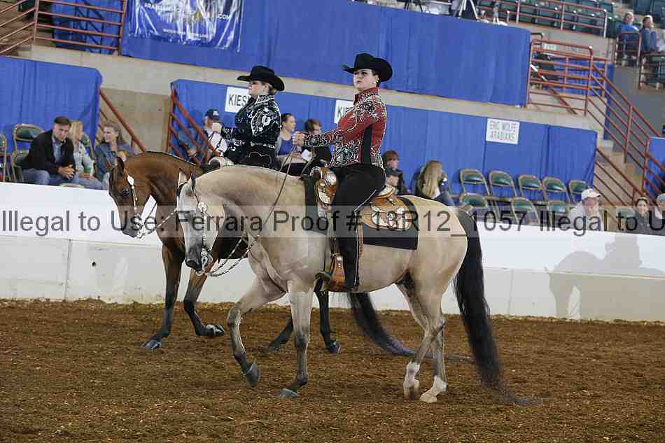 Proof Number 13r12_1057