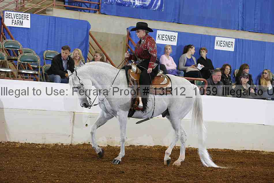 Proof Number 13r12_1059