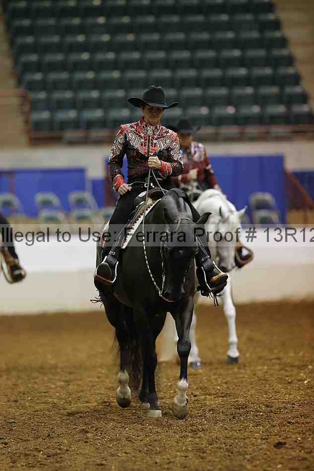 Proof Number 13r12_1064