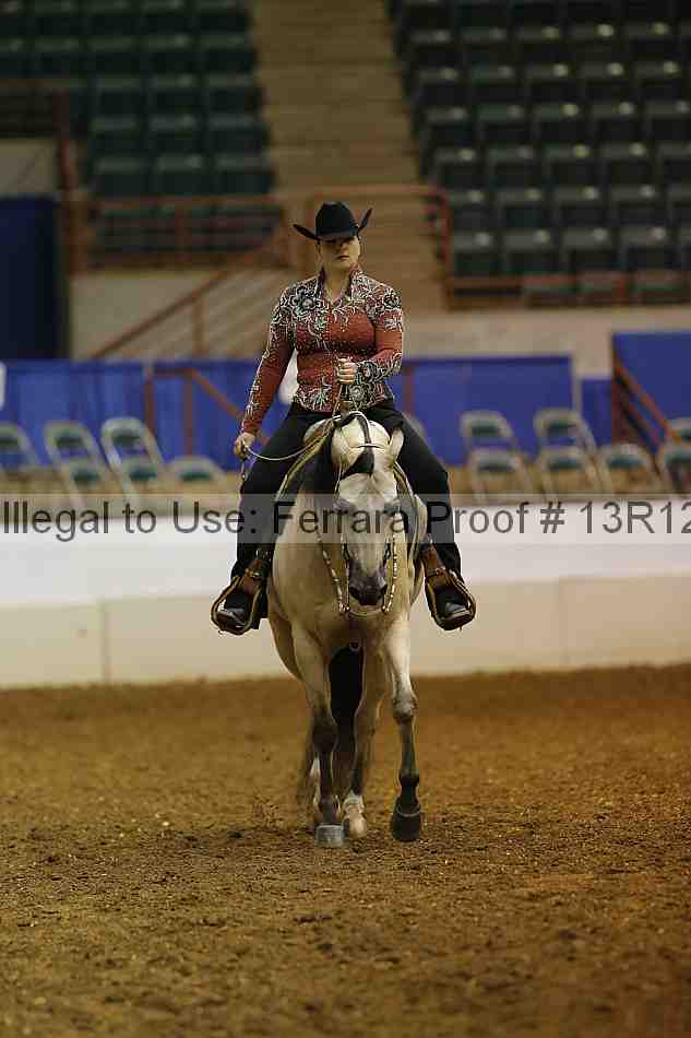Proof Number 13r12_1065