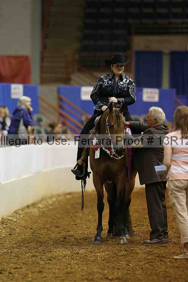 Proof Number 13r12_1067