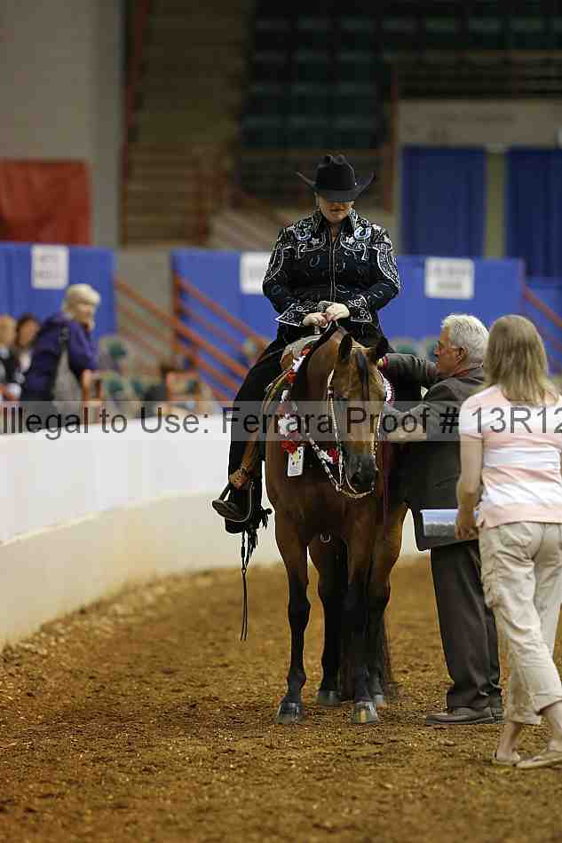 Proof Number 13r12_1069