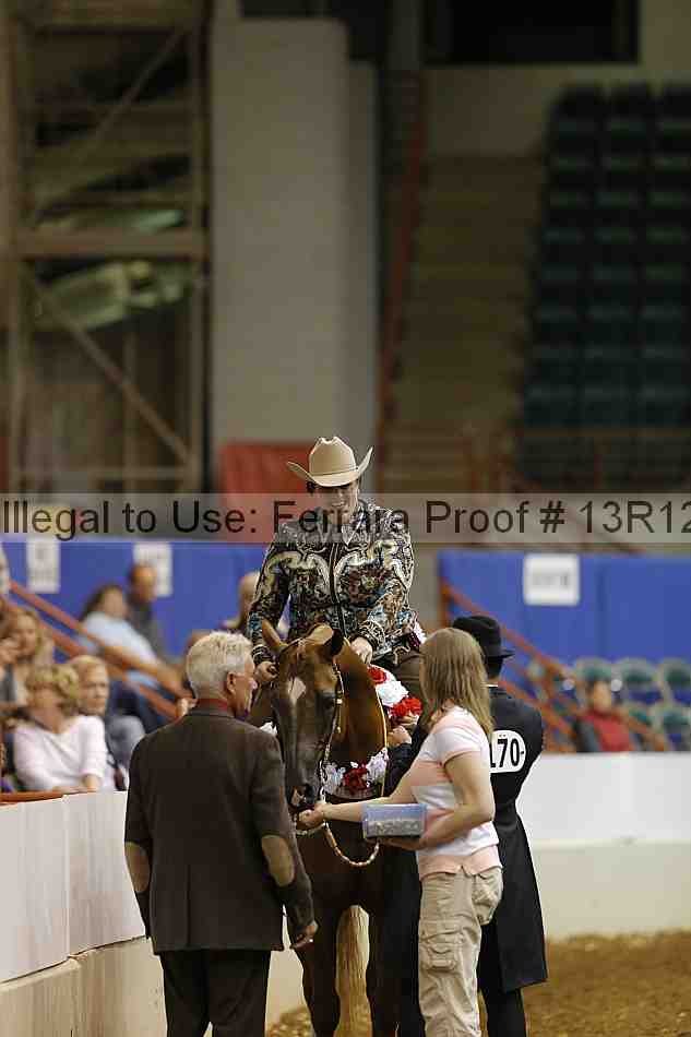 Proof Number 13r12_1077