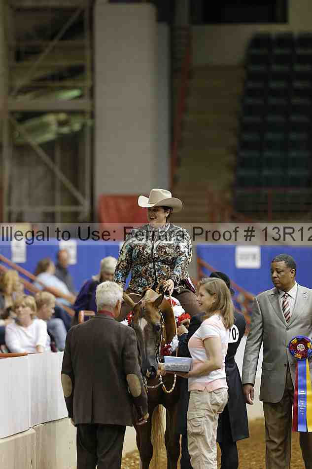 Proof Number 13r12_1078