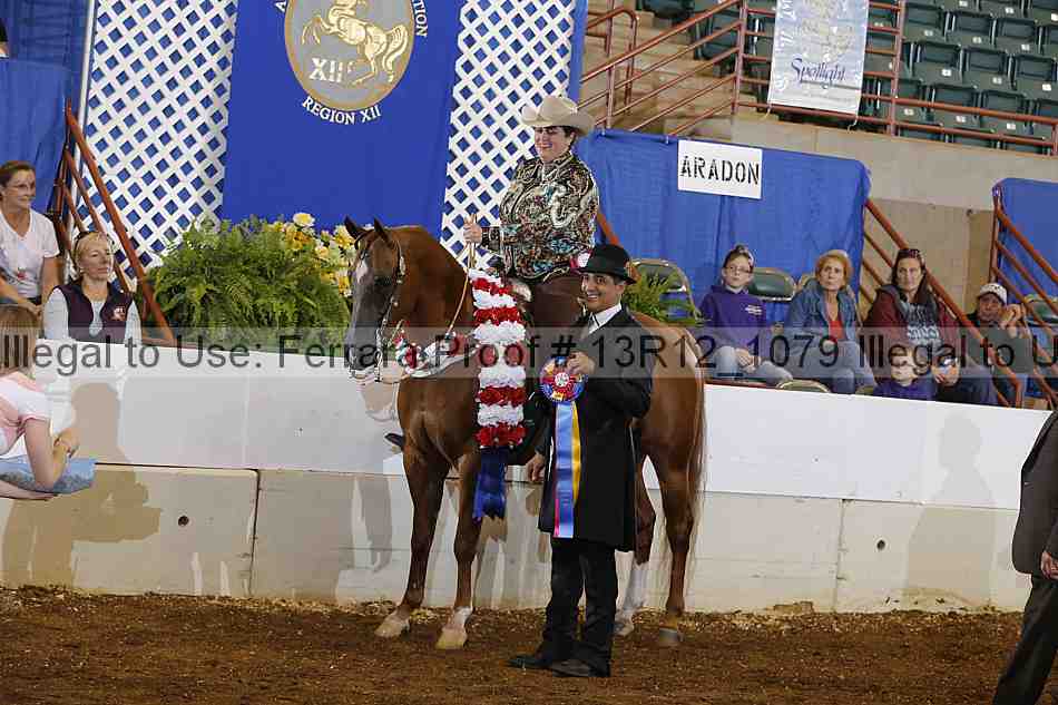 Proof Number 13r12_1079