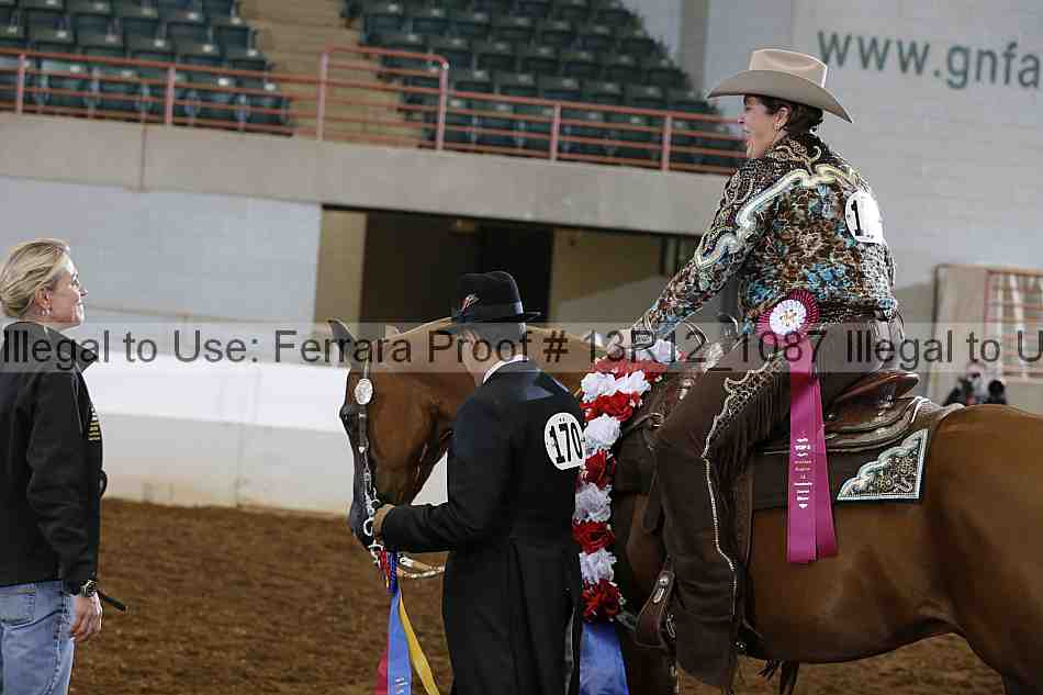 Proof Number 13r12_1087