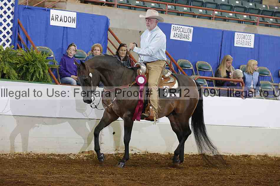 Proof Number 13r12_1091