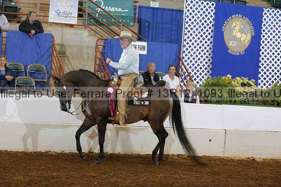 Proof Number 13r12_1093