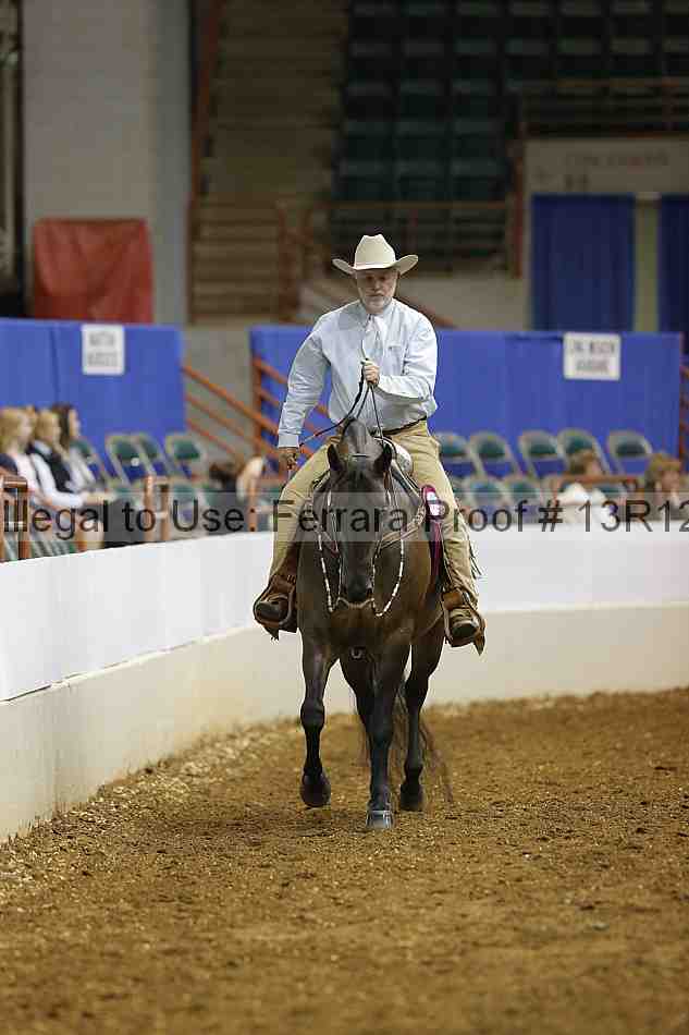 Proof Number 13r12_1094