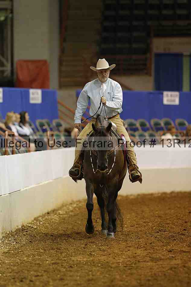 Proof Number 13r12_1095