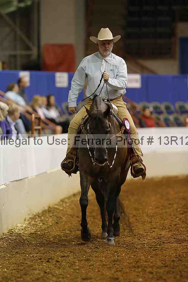 Proof Number 13r12_1096