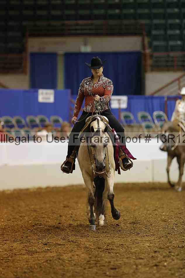 Proof Number 13r12_1100