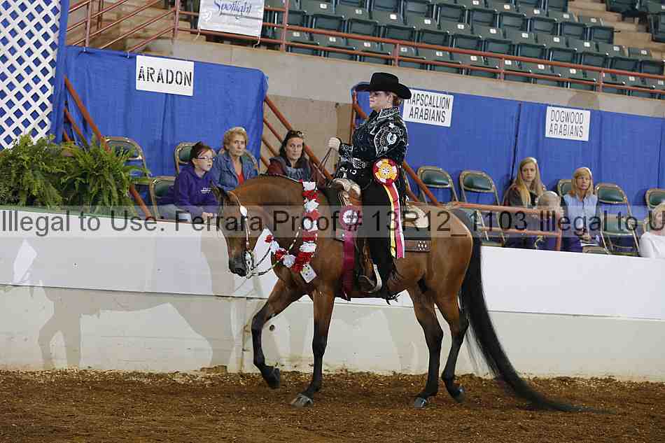 Proof Number 13r12_1103