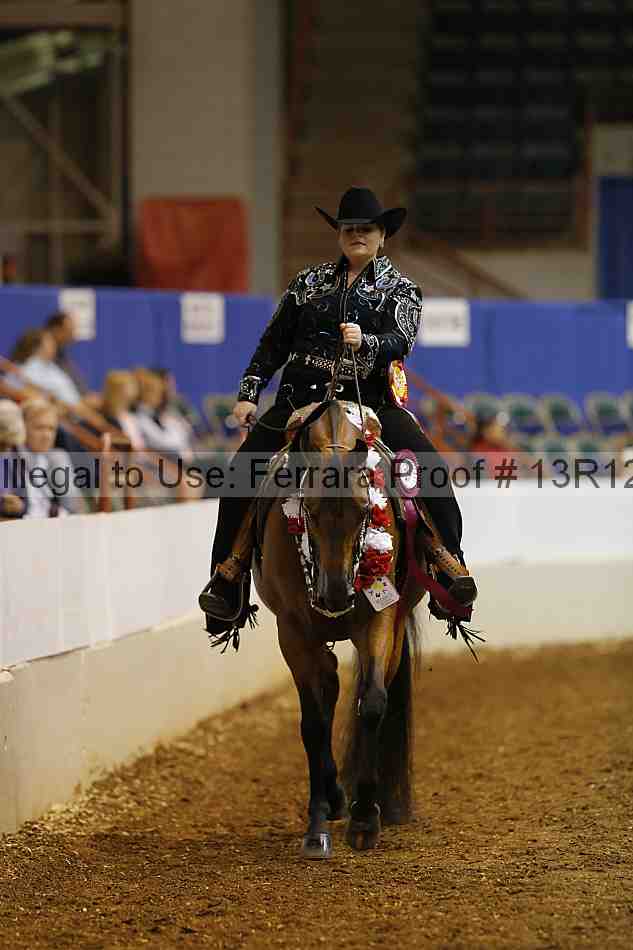 Proof Number 13r12_1107