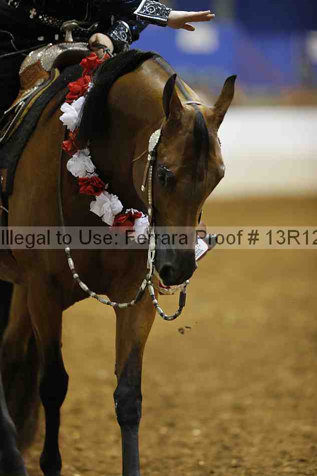 Proof Number 13r12_1111