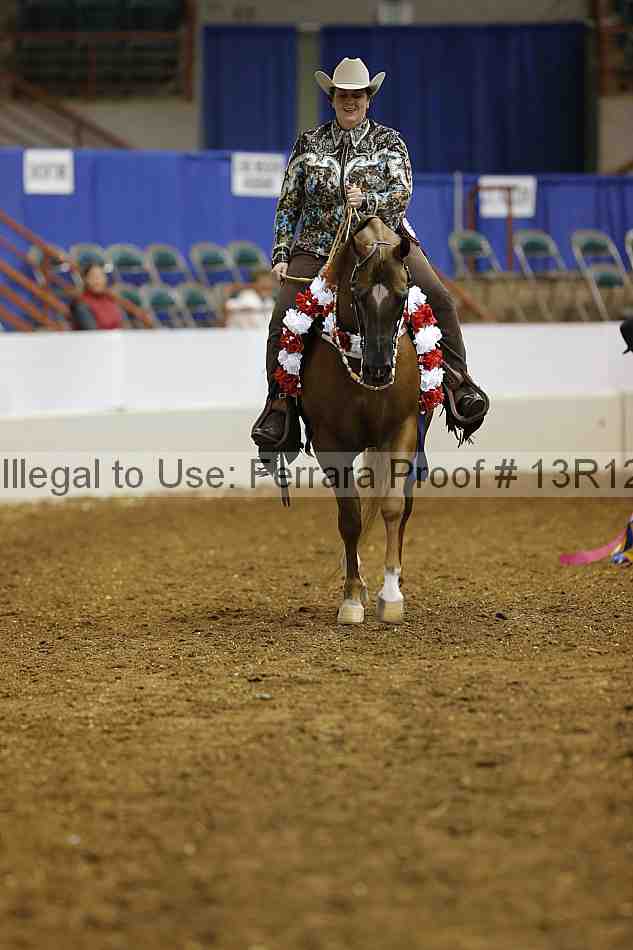 Proof Number 13r12_1116