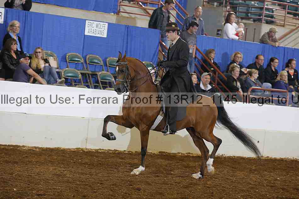 Proof Number 13r12_1145