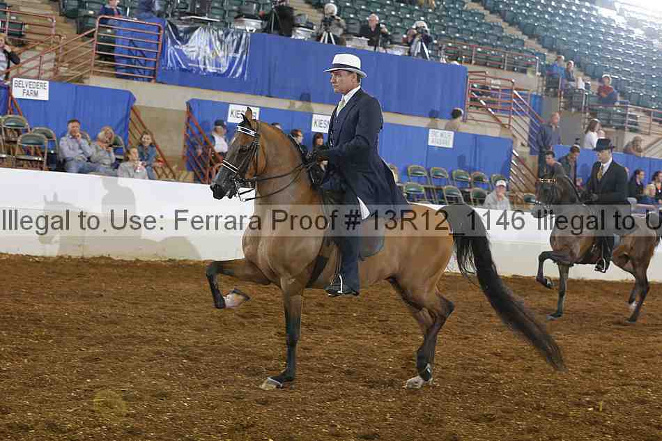 Proof Number 13r12_1146