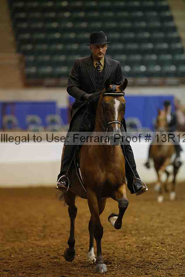 Proof Number 13r12_1147