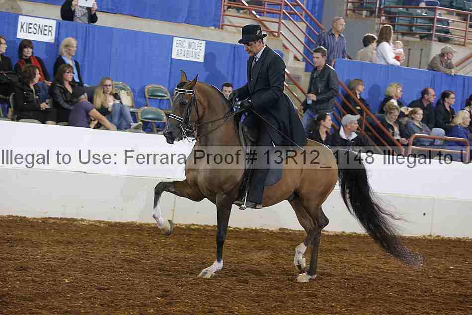 Proof Number 13r12_1148