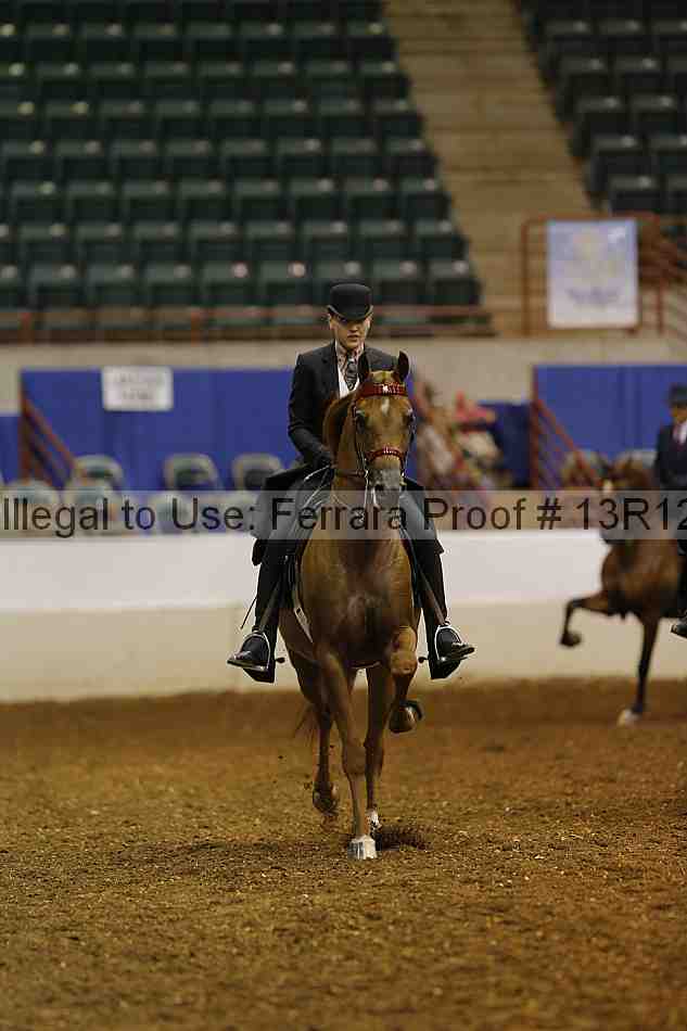 Proof Number 13r12_1149