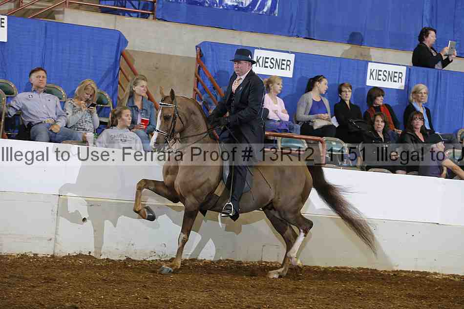 Proof Number 13r12_1151