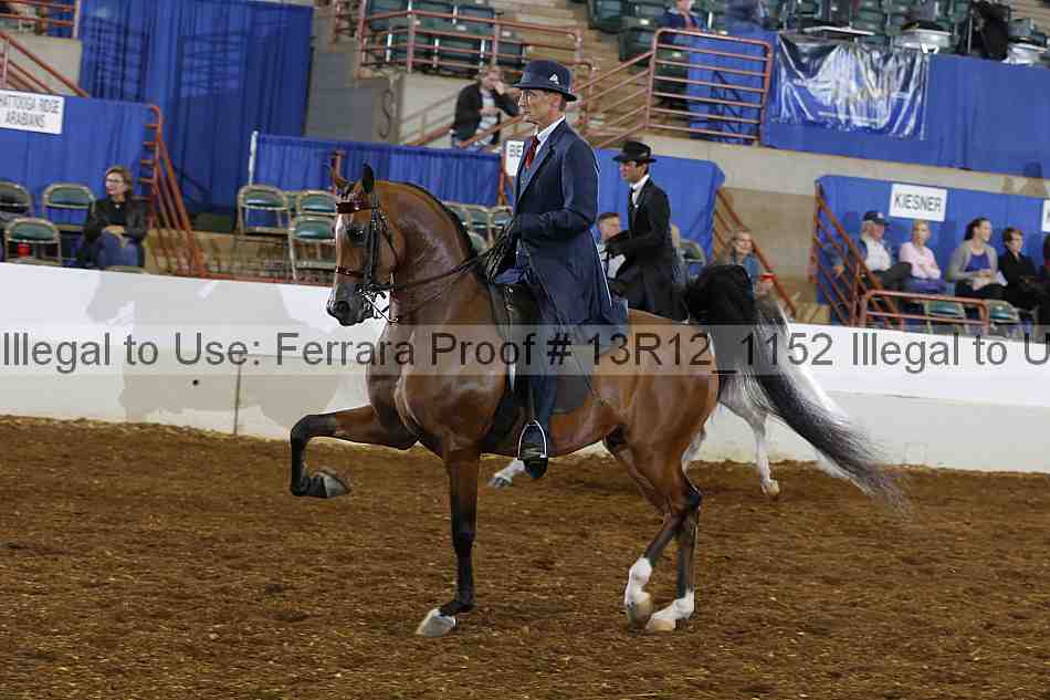 Proof Number 13r12_1152