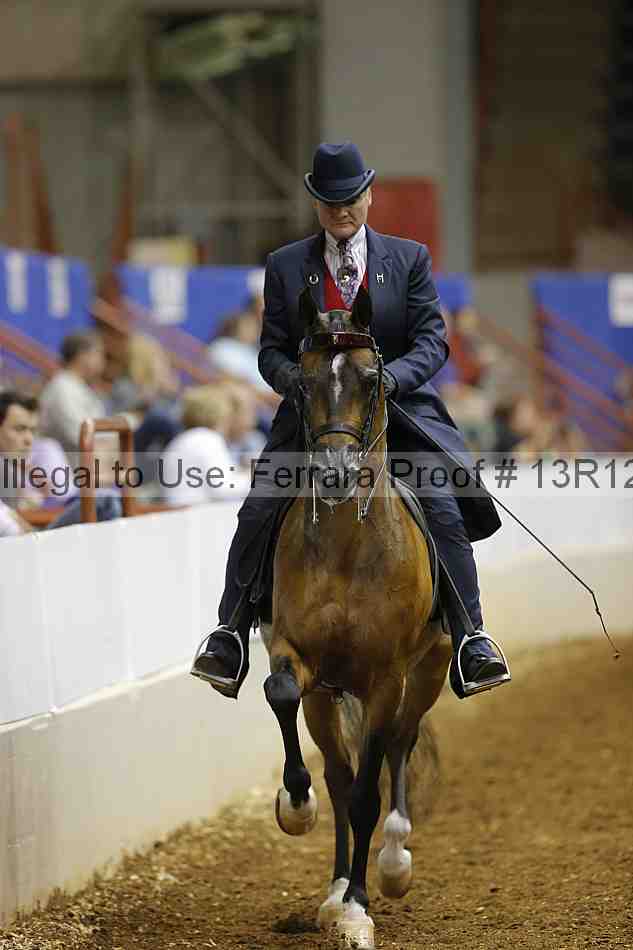 Proof Number 13r12_1153