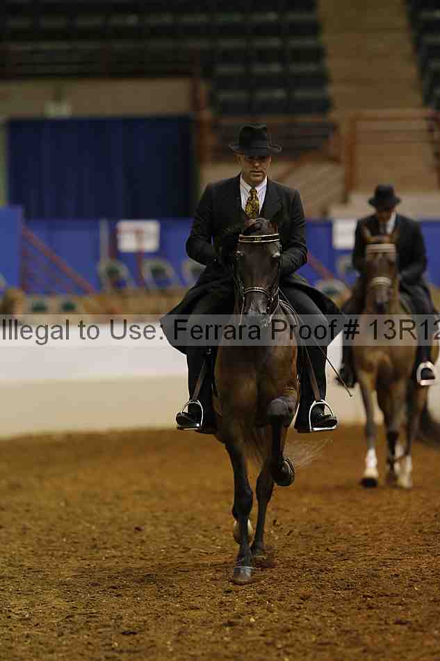 Proof Number 13r12_1154