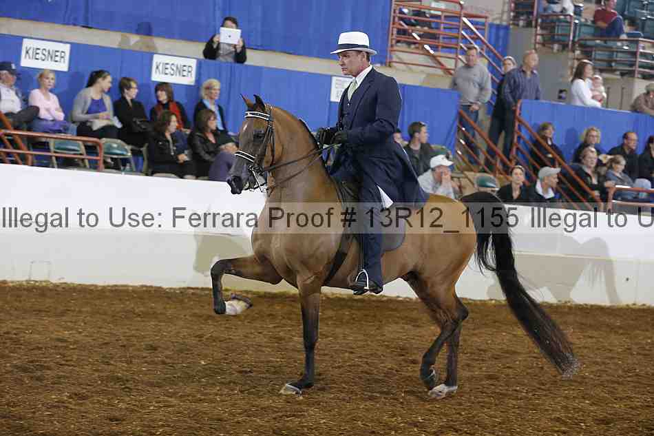 Proof Number 13r12_1155