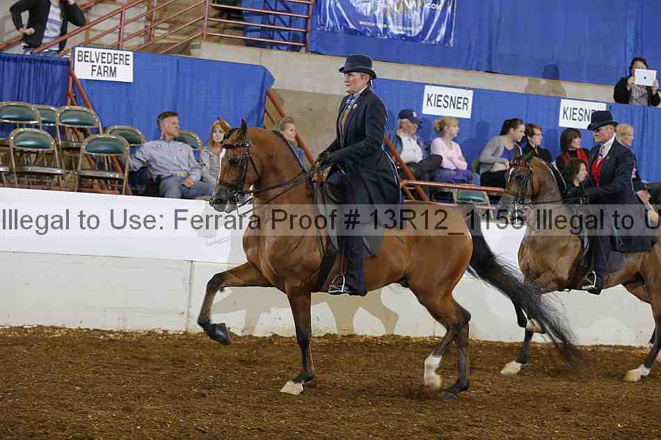 Proof Number 13r12_1156