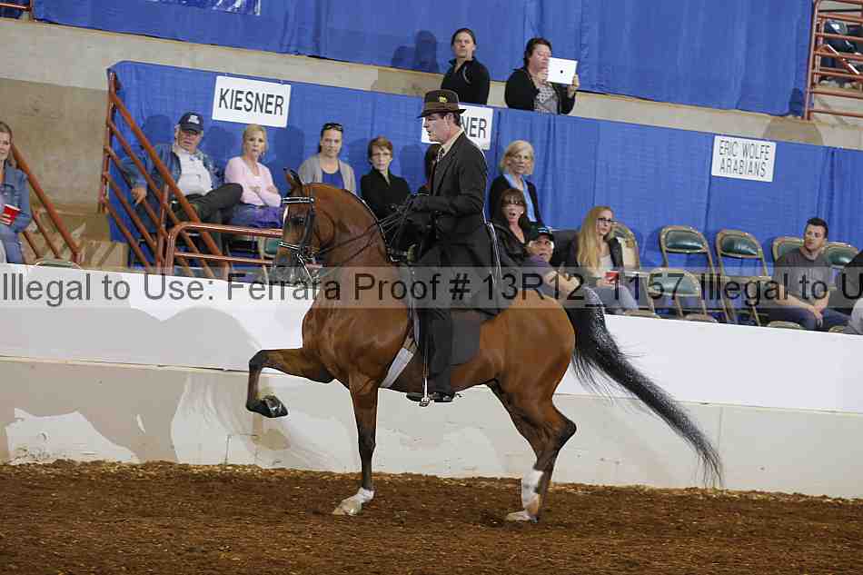 Proof Number 13r12_1157