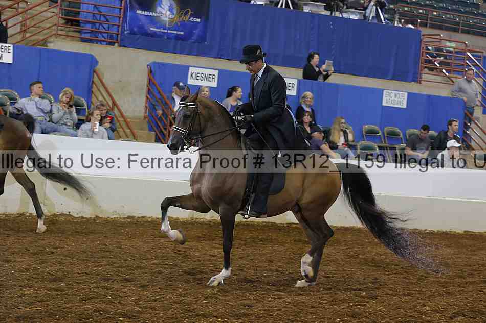 Proof Number 13r12_1159