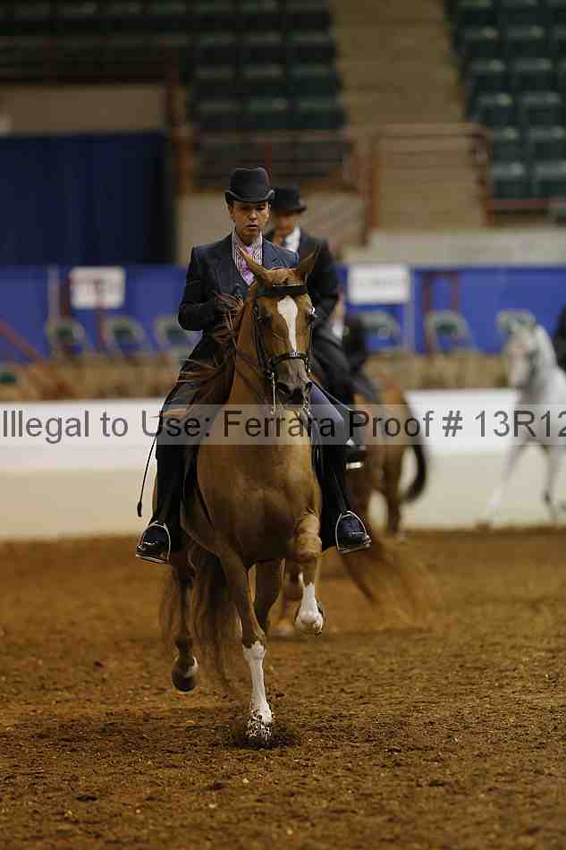 Proof Number 13r12_1160