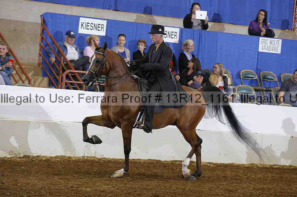 Proof Number 13r12_1161