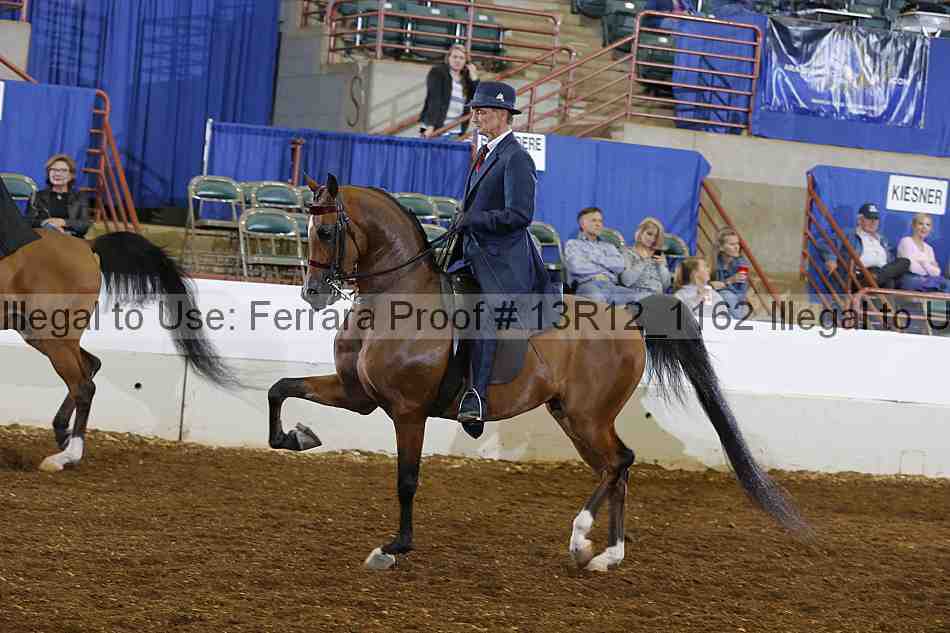 Proof Number 13r12_1162