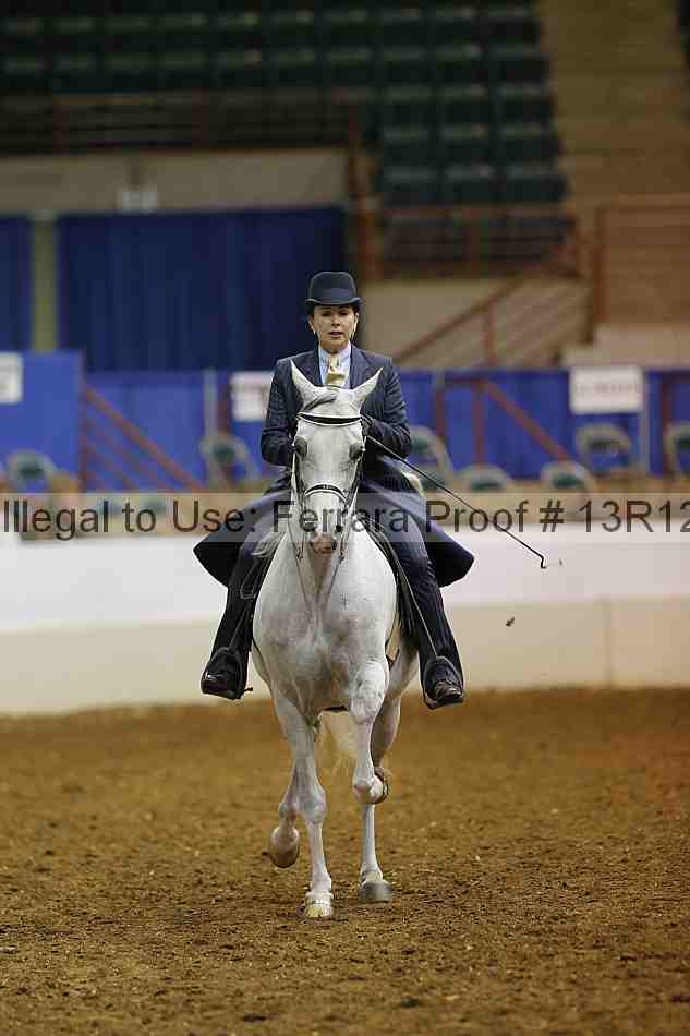 Proof Number 13r12_1163