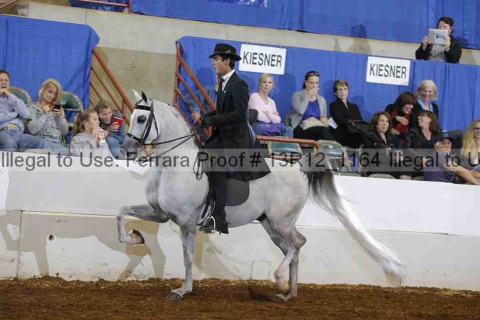 Proof Number 13r12_1164