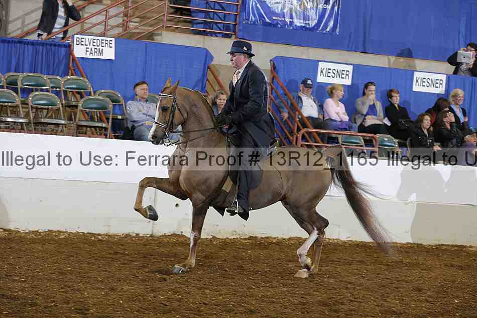 Proof Number 13r12_1165