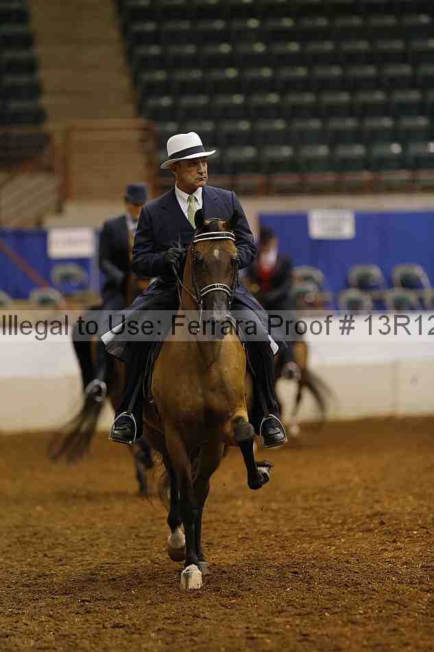 Proof Number 13r12_1166