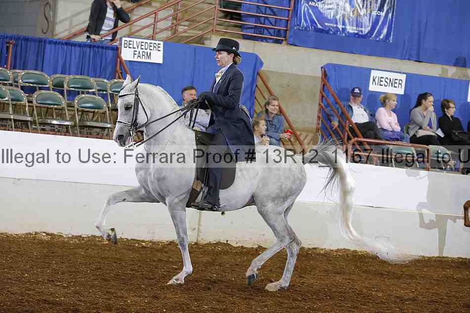Proof Number 13r12_1167