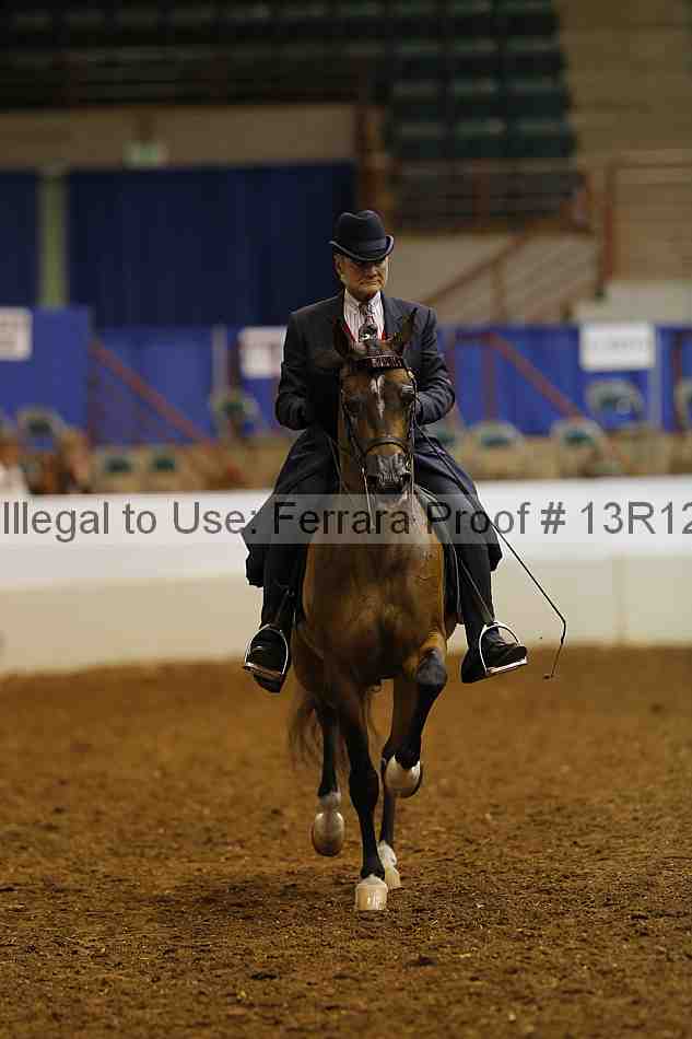 Proof Number 13r12_1169