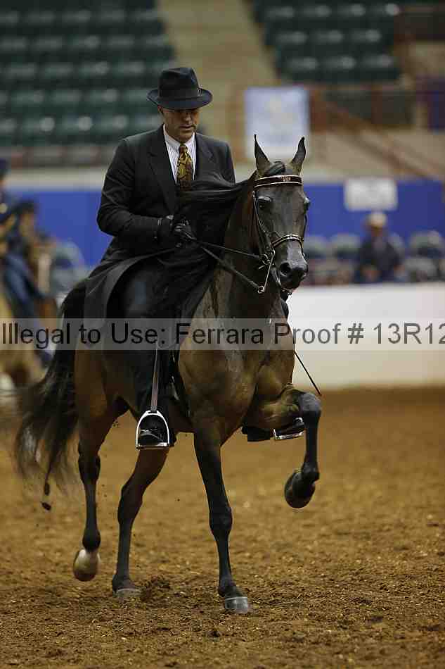 Proof Number 13r12_1172