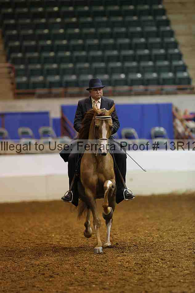 Proof Number 13r12_1174