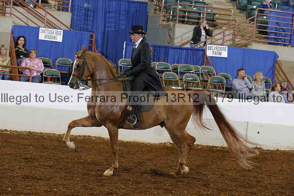 Proof Number 13r12_1179