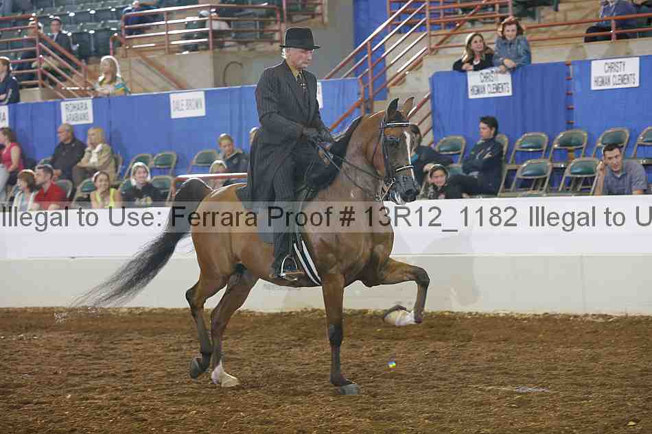 Proof Number 13r12_1182